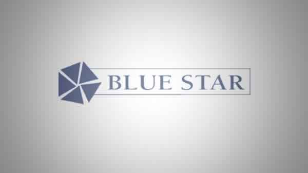 Blue Star Diamonds Pvt. Ltd.